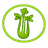 Celery